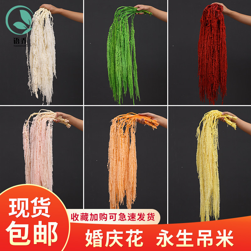 永生吊米花柔丽丝婚庆软装布置美陈设计手捧花垂吊型线条干花花材