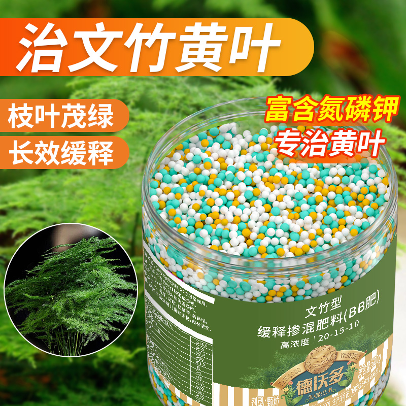 文竹肥料专用肥室内盆栽治黄叶