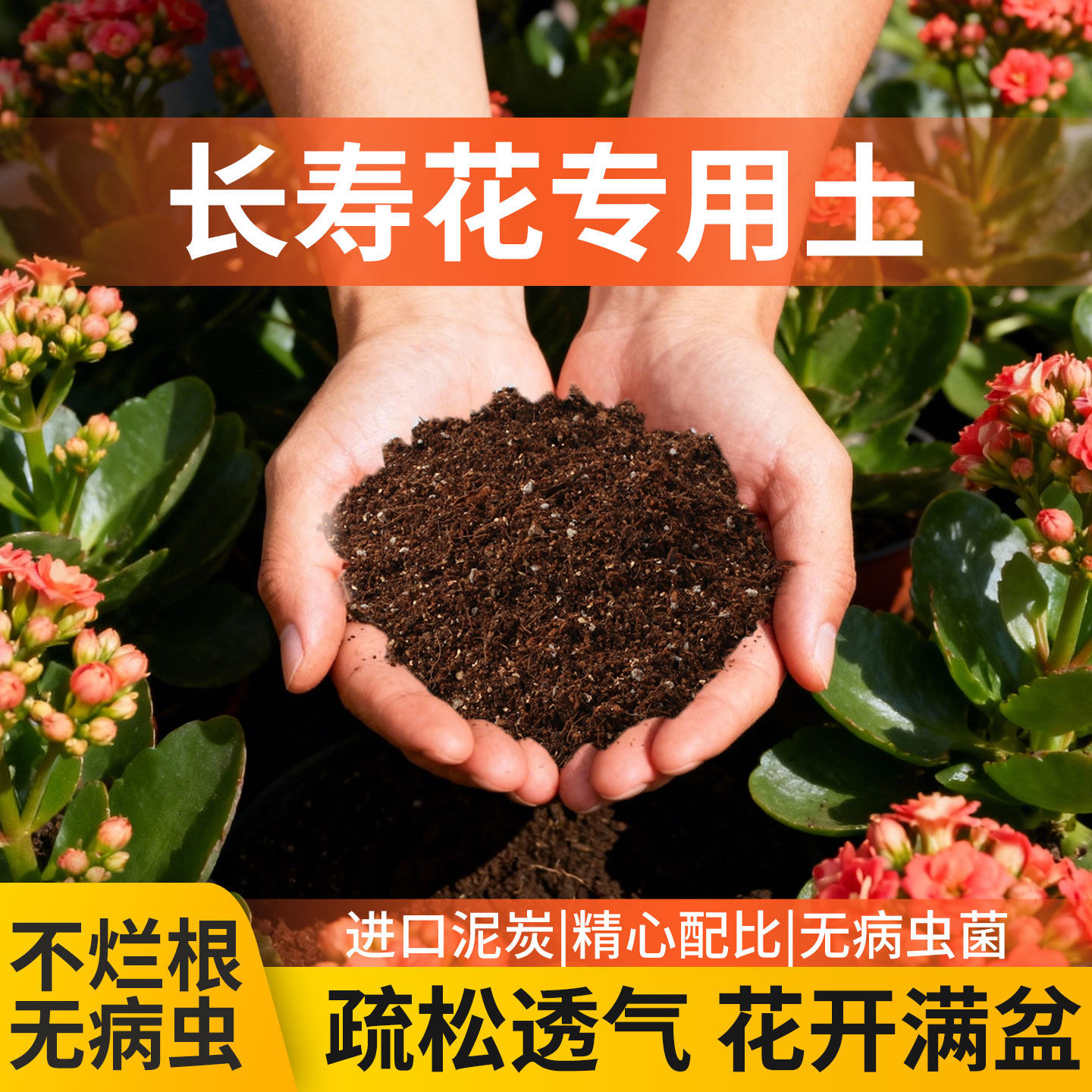 长寿花专用营养土花土盆栽栽培种植泥炭长寿花土含有机质透气好土