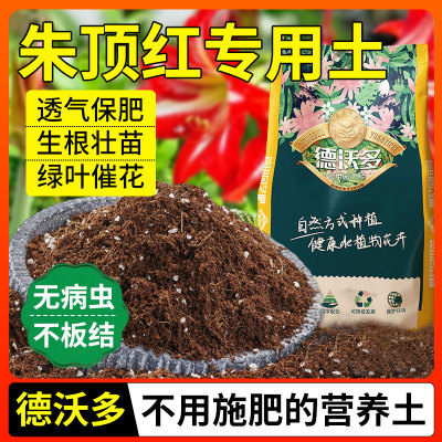 朱顶红专用土营养土球根种球花卉