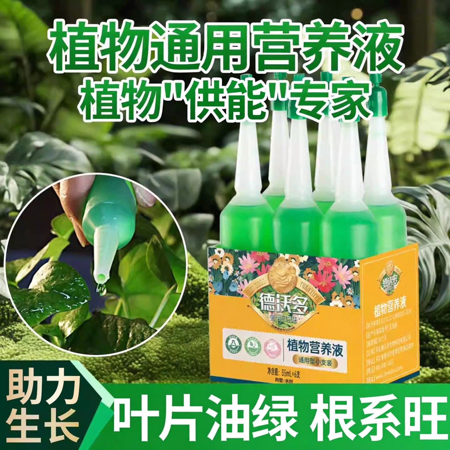 植物营养液通用型花肥料室内发财树绿萝富贵竹多肉专用养花卉盆栽