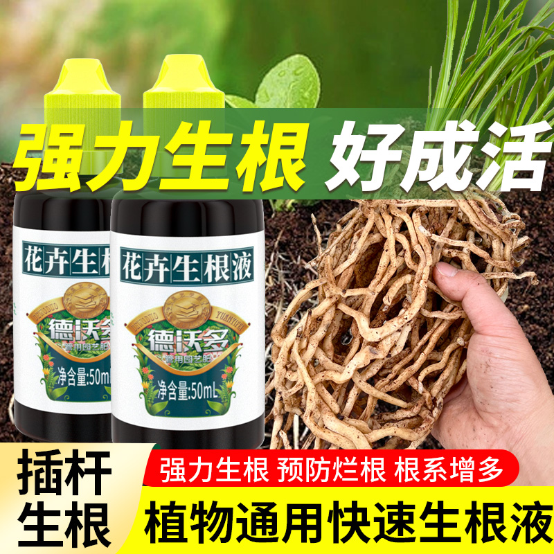 生根液花卉植物通用快速生根粉生根水强力扦插移栽专用生根壮苗剂