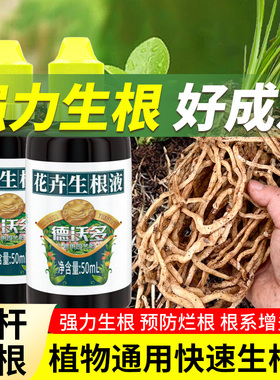 生根液花卉植物通用快速生根粉生根水强力扦插移栽专用生根壮苗剂