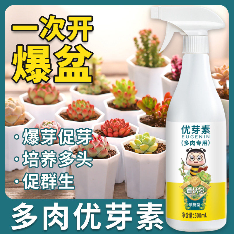 德沃多优芽素多肉专用促侧芽花卉植物营养液促芽催芽矮胖素爆芽素怎么看?