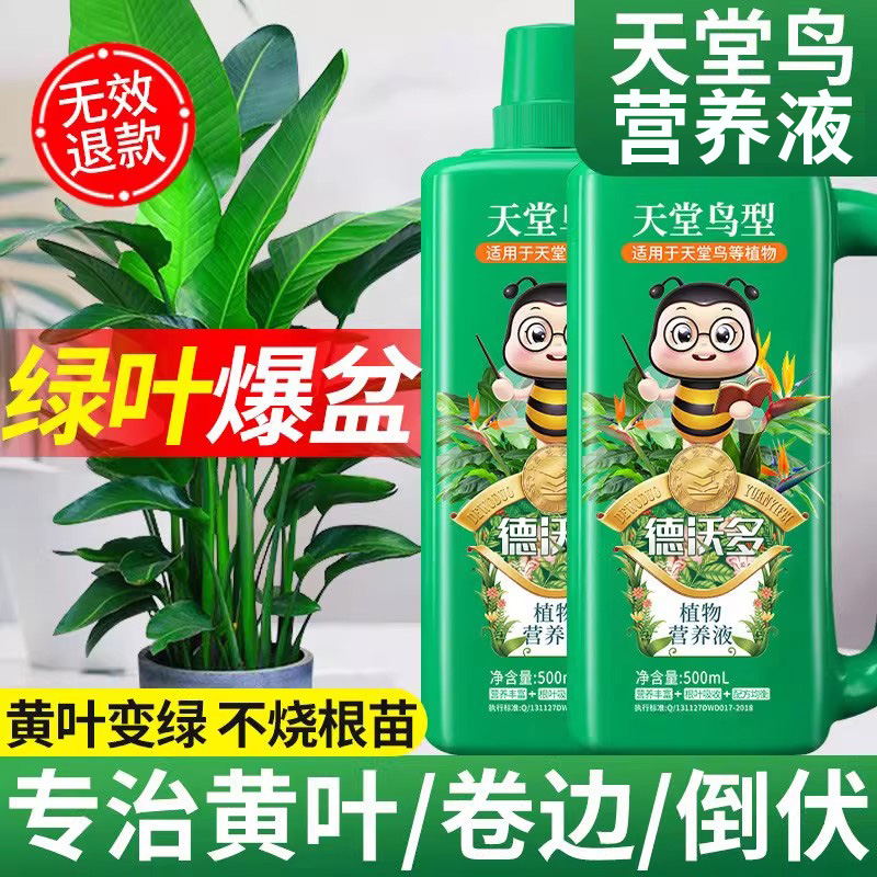 天堂鸟专用营养液防黄叶卷边开裂