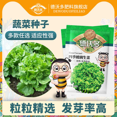 蔬菜种子四季阳台盆栽植物