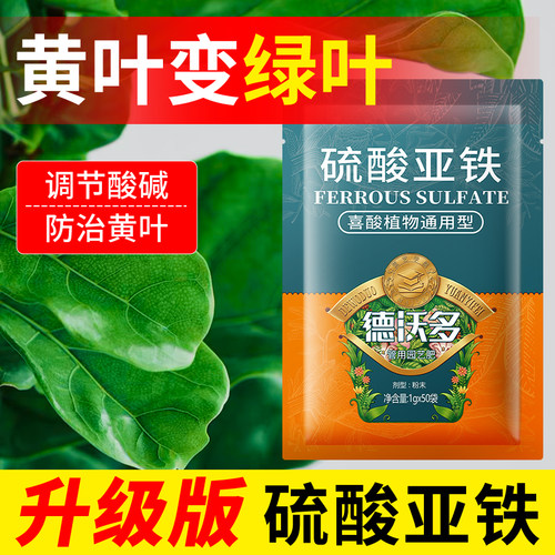 德沃多硫酸亚铁花肥料黄叶变绿叶