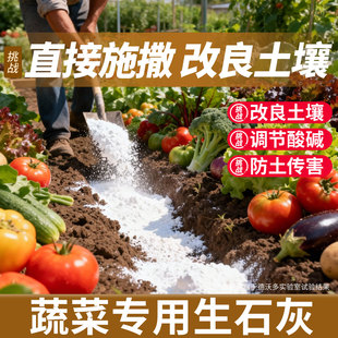 生石灰种菜专用正宗白灰粉菜地消毒10斤家用防潮吸霉刷树木干燥剂