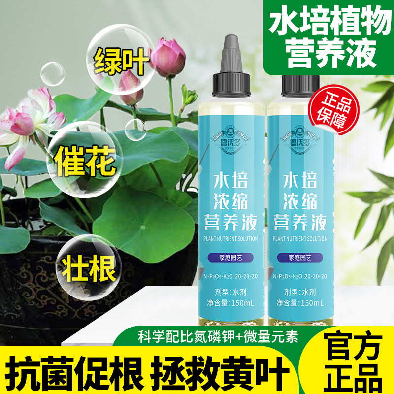 水培植物营养液肥料专用肥家用盆栽水养富贵竹碗莲种球通用水溶肥