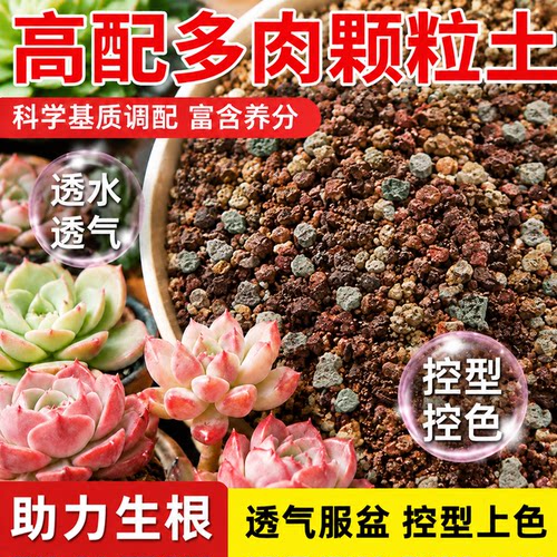 进口豪华多肉专用颗粒土营养土壤