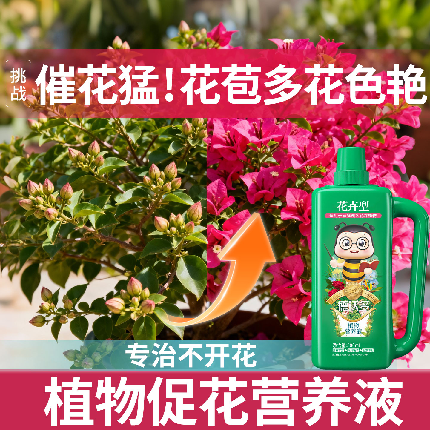 促开花专用植物营养液通用型家用养花卉月季水培盆栽磷钾液体肥料