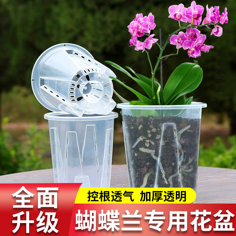 德沃多蝴蝶兰专用花盆透明控根塑料透气加厚海芋兰花高端青山花盆