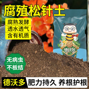 纯松针土君子兰专用腐殖腐叶腐熟发酵兰花通用有机营养土养花种菜