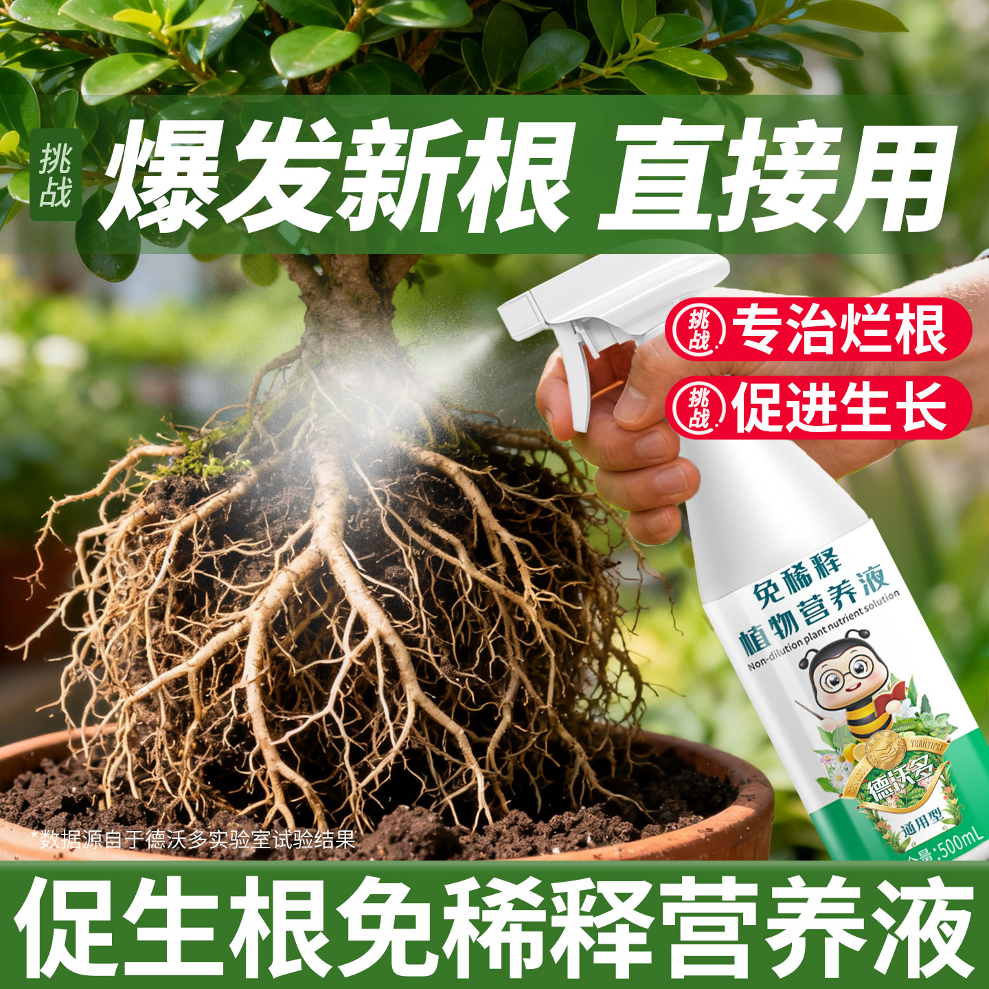 植物营养液生根剂生根壮苗剂扦插生根液快速生根植物通用养花肥料