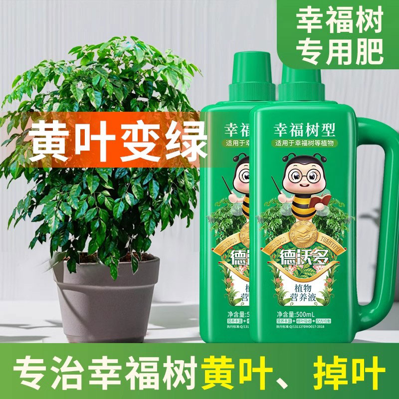 幸福树专用肥料营养液盆栽植物