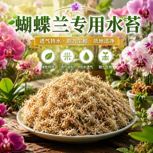 水苔蝴蝶兰专用土干苔藓兰花专用