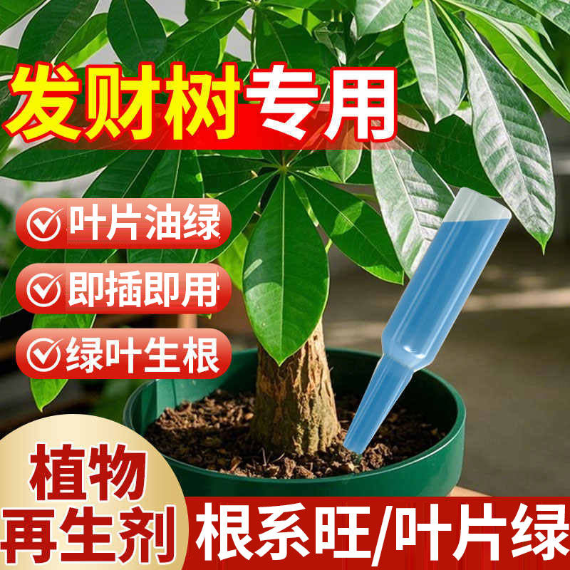 发财树植物再生剂浓缩营养液肥料专用肥盆栽复活液防黄叶枯叶烂根