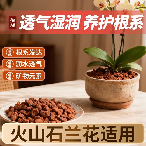 兰花专用火山石|透气排水不易闷