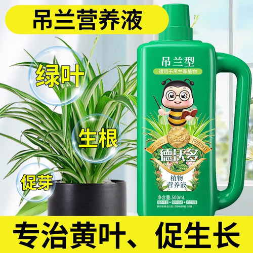 吊兰肥料营养液金边家用土水培