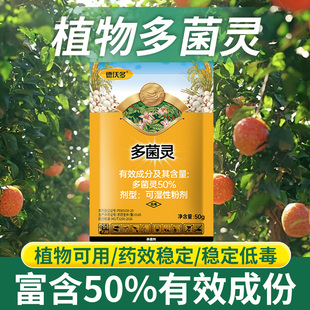 发财树多菌灵黄叶枯叶烂根叶斑病专用花药黄斑叶斑病杀菌剂百菌清
