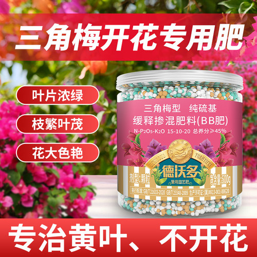 『一次开爆盆』三角梅促花爆花肥