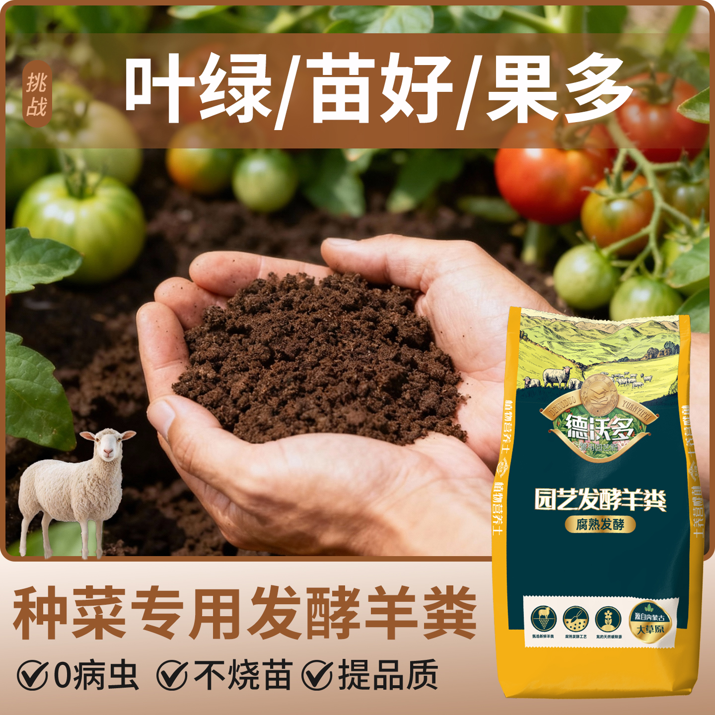 【种菜专用】发酵纯羊粪蔬菜盆栽