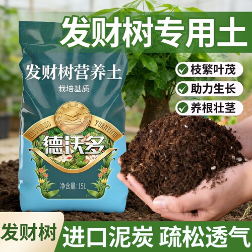 发财树专用土|枝叶繁茂养根壮茎