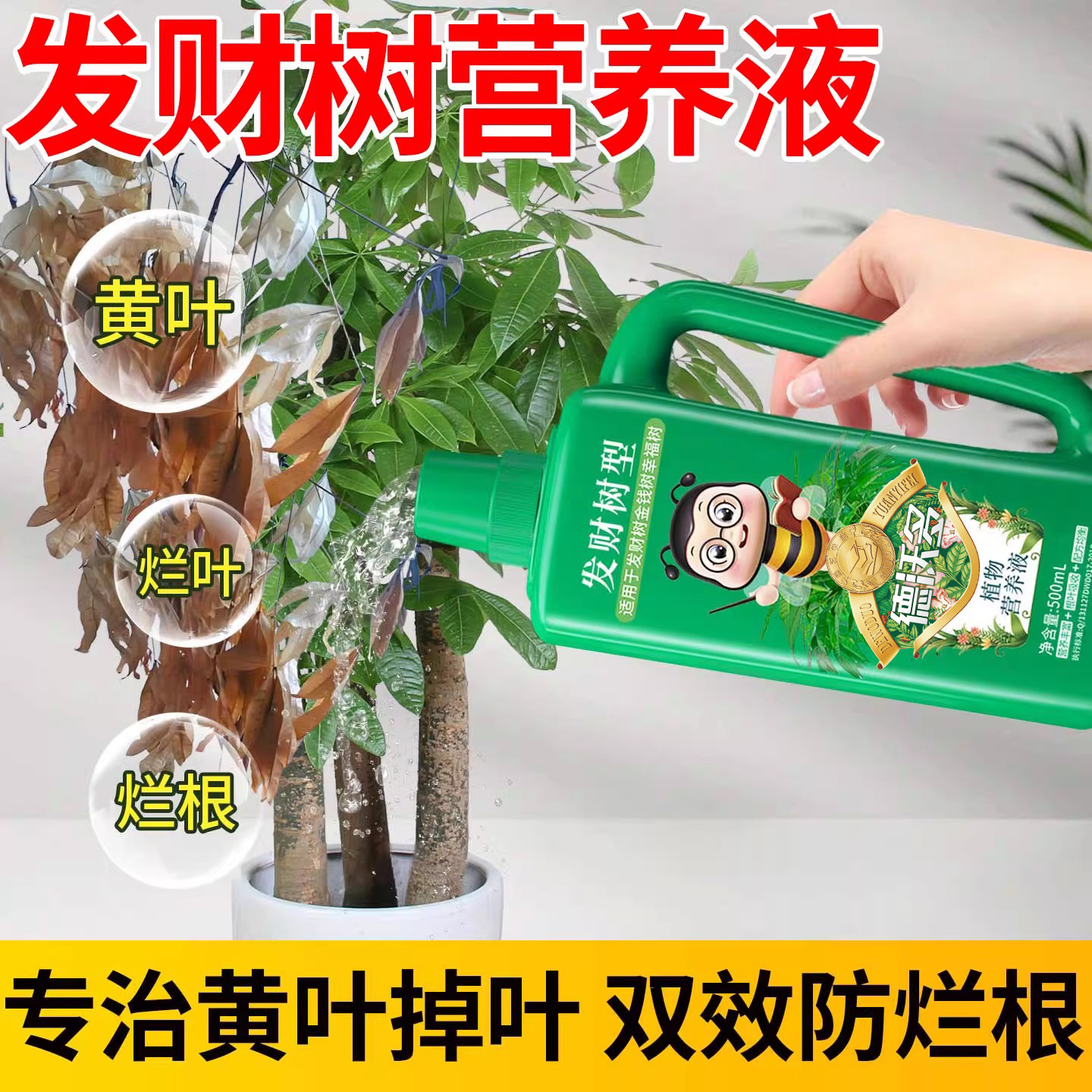【专治发财树黄叶】发财树营养液