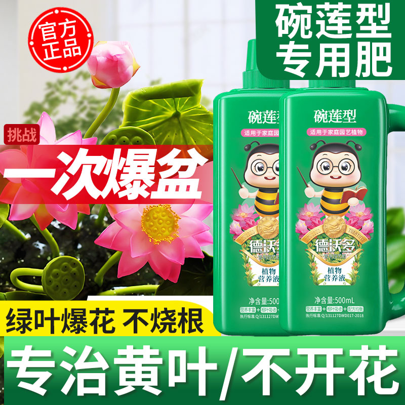 碗莲营养液睡莲水培植物绿叶催花