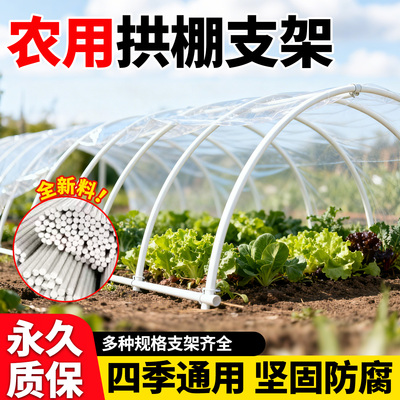 农用拱棚支架|种菜园大棚专用
