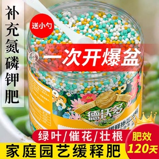 缓释肥花肥料家用盆栽植物通用复合肥氮磷钾肥颗粒养花卉绿植多肉