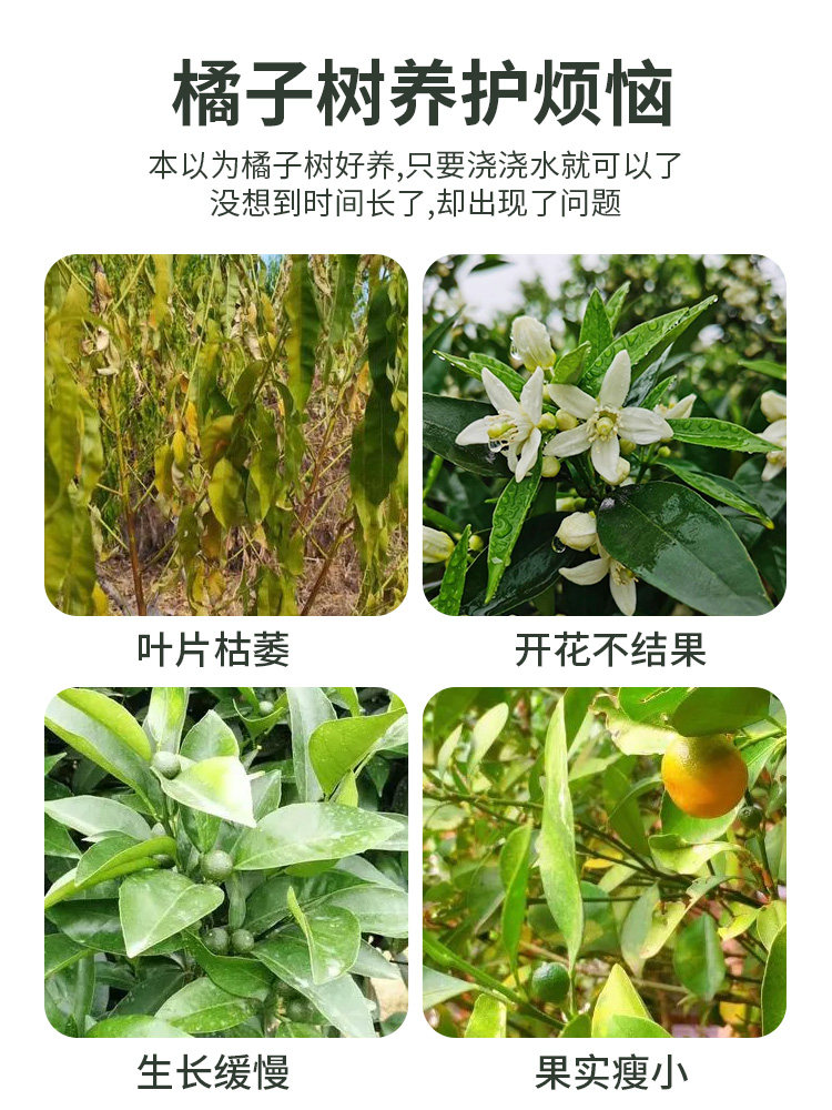 橘子树专用肥料金桔子树柑橘复合肥柠檬果树高钾肥保果增甜缓释肥