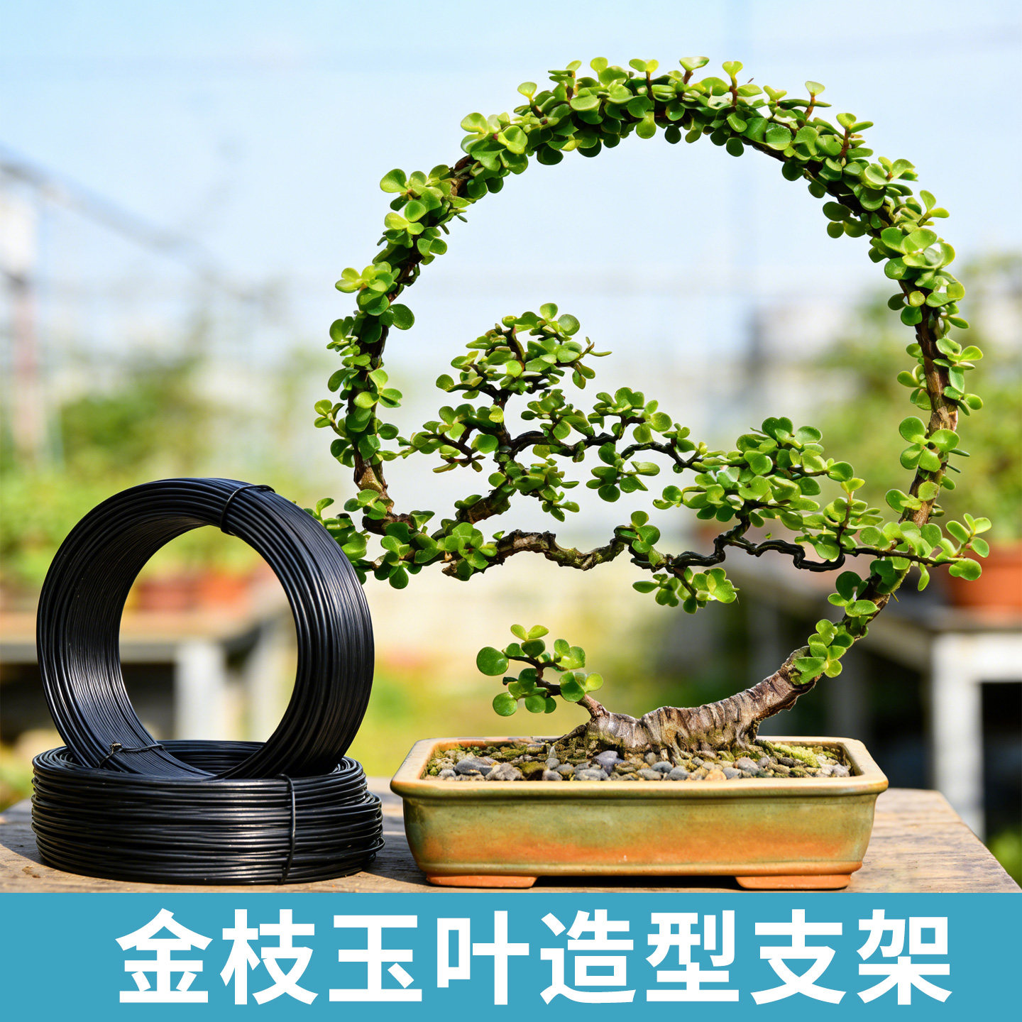 金枝玉叶定型架花卉专用支撑架孔雀造型庭院固定架花架子固定植物