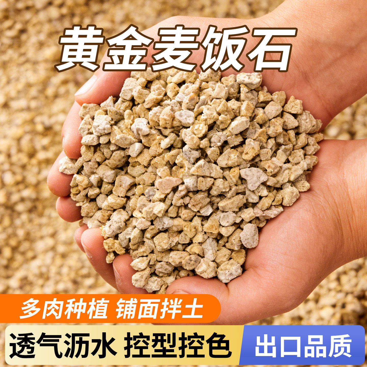 黄金软麦饭石颗粒营养土多肉盆栽图片