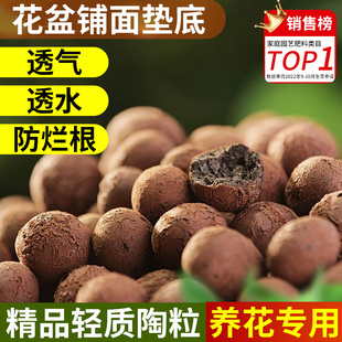 陶粒垫底多肉植物透气碳球养花盆栽鱼缸水培铺面石回填火山石颗粒