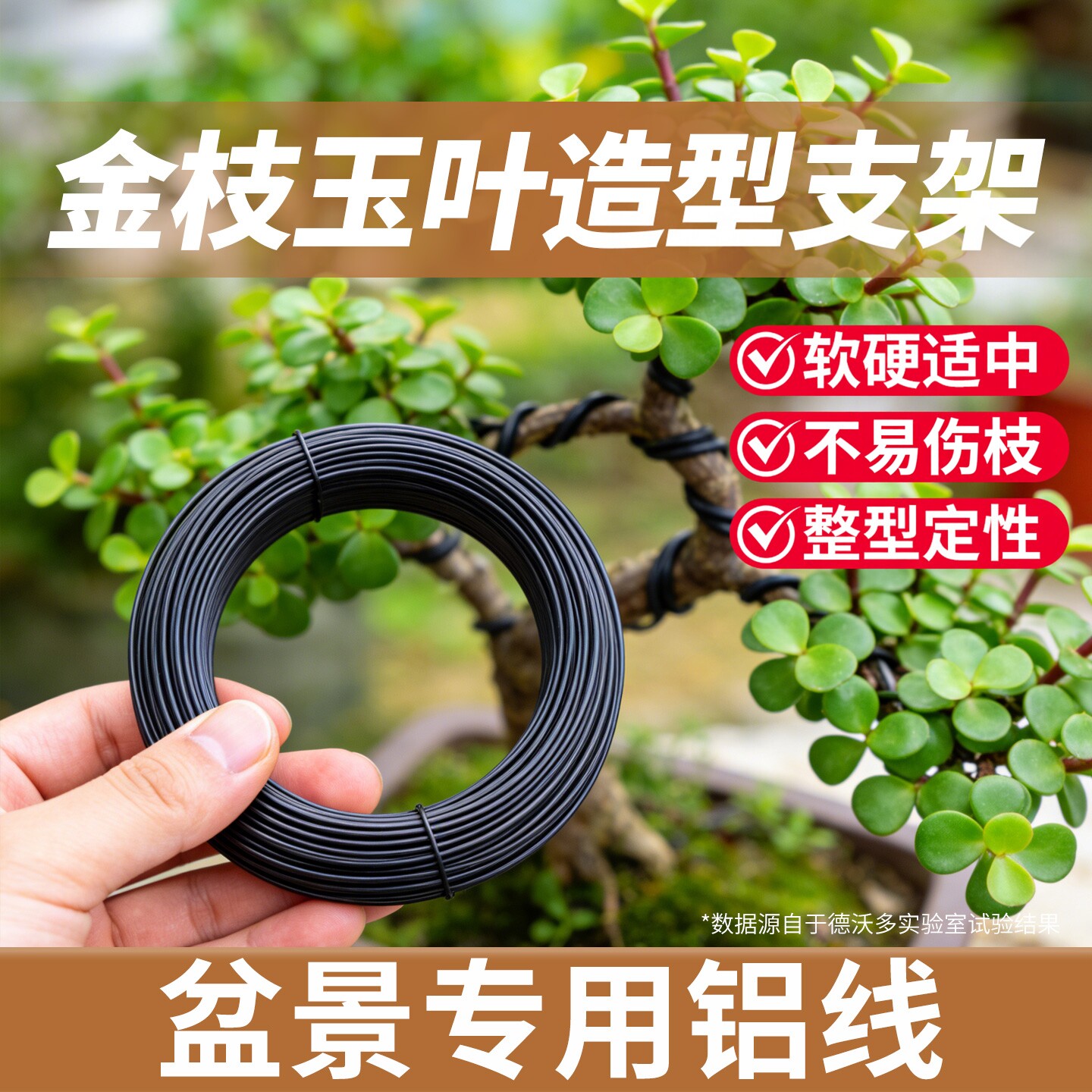 造出艺术造型|金枝玉叶造型支架图片