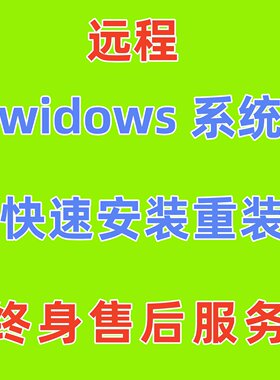 远程电脑系统重装u盘正版