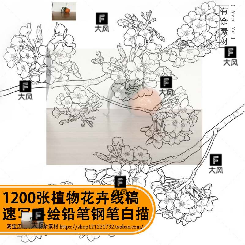 植物花卉线稿速写插画手绘铅笔钢笔白描手稿插画临摹参考素材