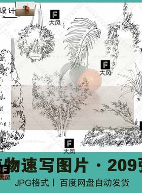 风景植物速写电子图手绘景观元素树木树冠花草钢笔画黑白线描素材