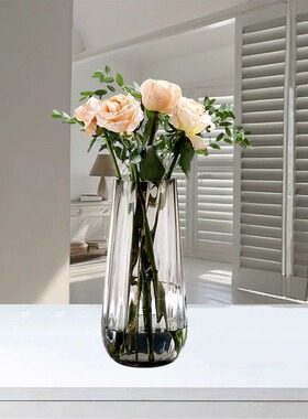 美式创意透明富贵竹玻璃花瓶摆件客厅插花鲜花花器家居装饰品