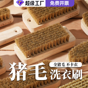 猪鬃毛刷洗衣服刷子清洁软毛不伤衣实木质板刷大衣衣领干洗店专用