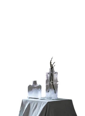 美学北欧风方形花插 马醉木吊钟加厚玻璃花瓶 高品质家居摆件