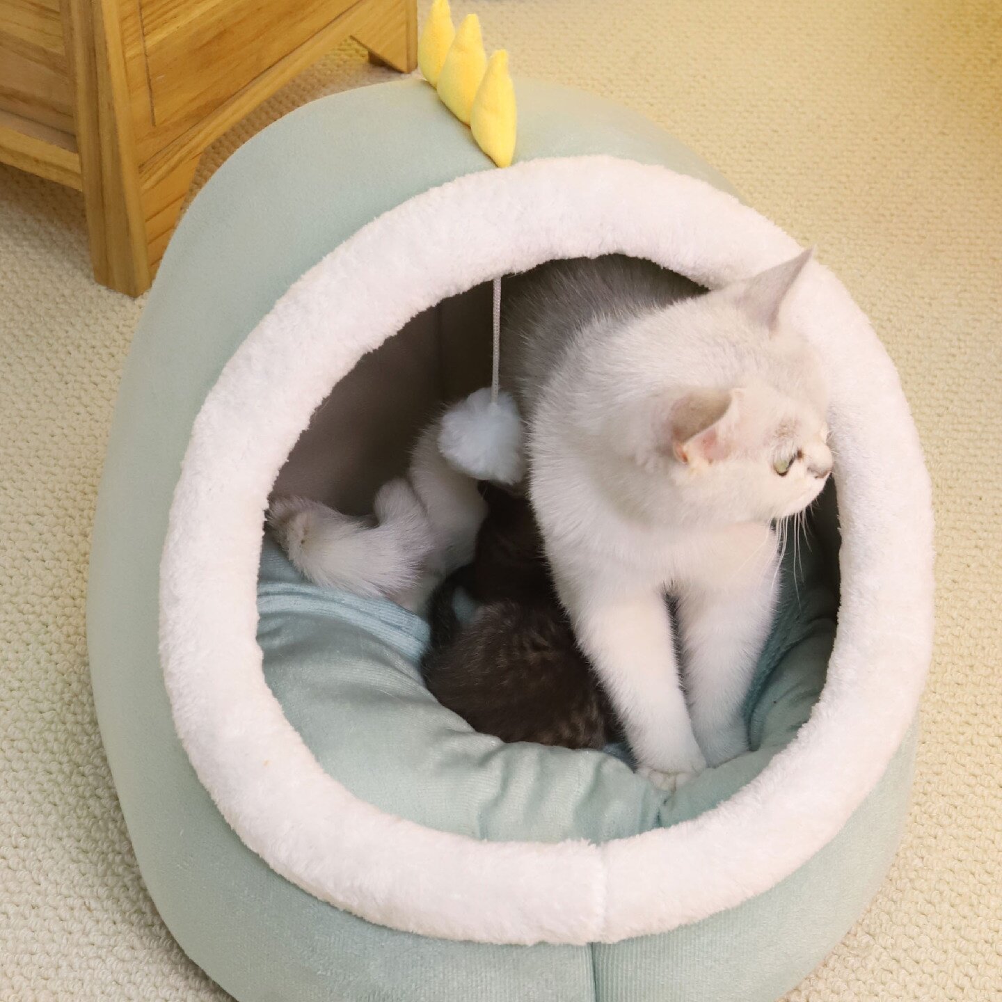 猫窝冬季保暖封闭式安全感可拆洗猫房子猫咪屋猫床宠物狗窝冬天用