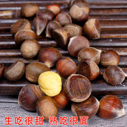 野生毛栗新鲜小板栗生栗子湖北神农架小栗子油栗2025新货锥栗板票