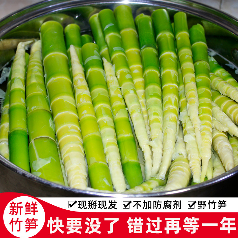 2026野生新鲜春笋湖北房县小竹笋现拔本地绿皮笋当季去壳笋水竹笋