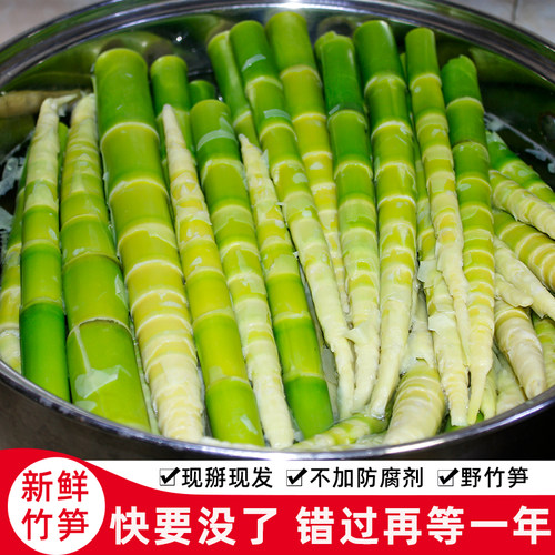 2026野生新鲜春笋湖北房县小竹笋现拔本地绿皮笋当季去壳笋水竹笋
