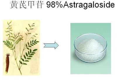 精品黄芪98%黄芪甲苷 纯天然提取物 20克袋 包邮 科研实验专用品