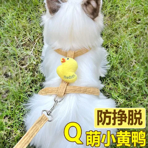 猫咪牵引绳遛狗绳外出用品防挣脱拴猫绳宠物猫链子可调节遛猫绳