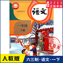 书 社义务教育教科书新华书店正版 小学一年级下册语文书课本人教版 六三63制一1年级下学期一下语文教材小学生课本义教人民教育出版