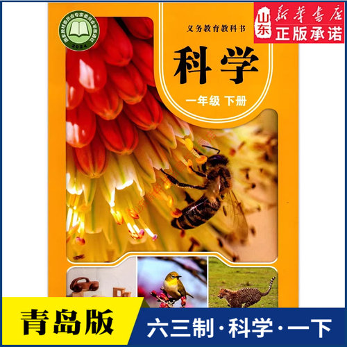 小学部编版年级下册青岛教材